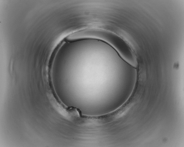 X0000092080932200709121441