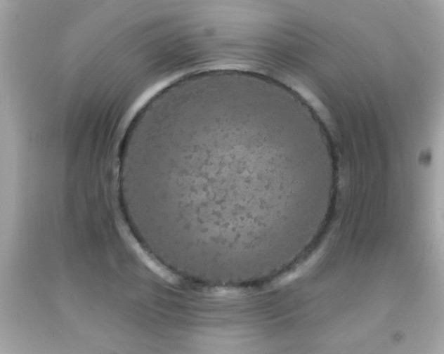 X0000092080933200709121441