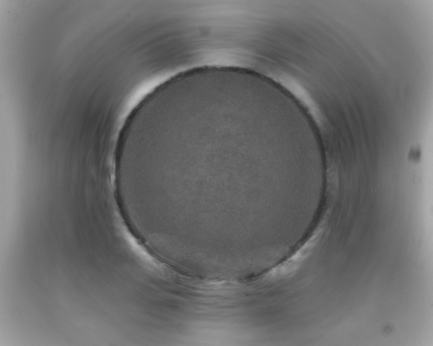 X0000092080935200709121441