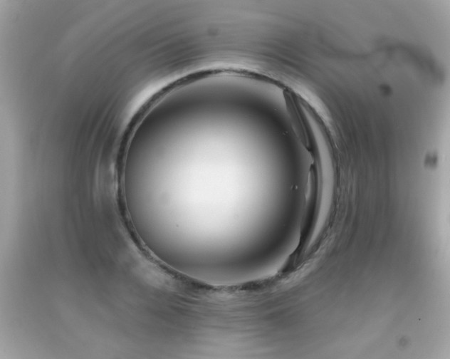 X0000092080936200709121441