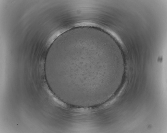 X0000092080937200709121441