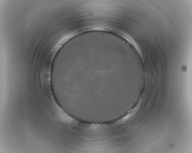X0000092080938200709121441