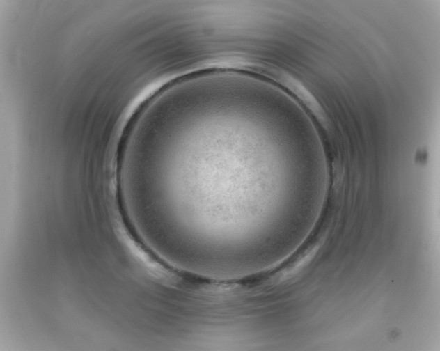 X0000092080939200709121441