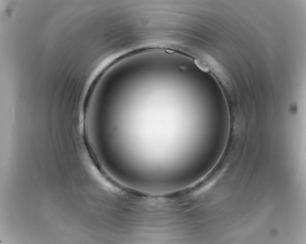 X0000092080940200709121441