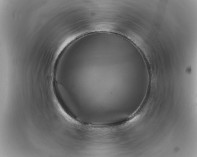 X0000092080941200709121441