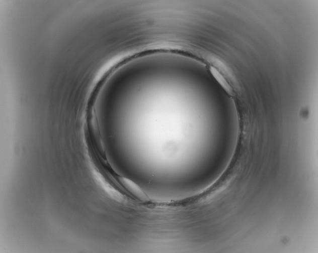 X0000092080942200709121441