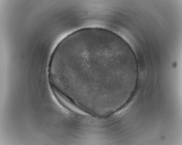 X0000092080943200709121441