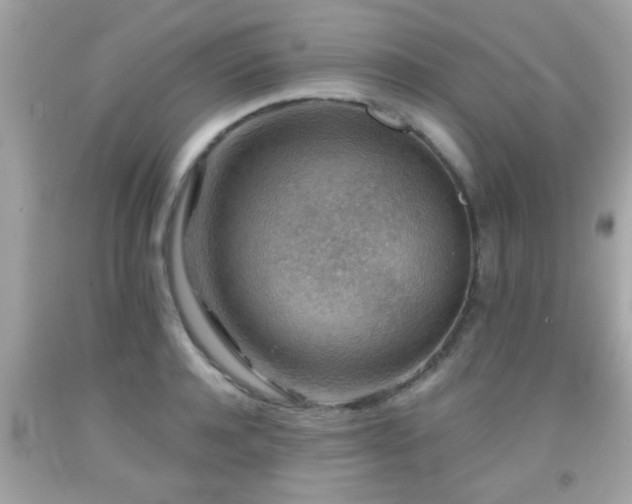 X0000092080944200709121441