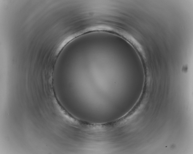 X0000092080945200709121441