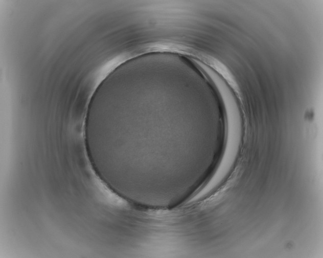 X0000092080946200709121441