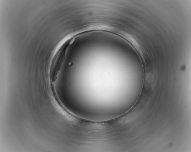 X0000092080947200709121441