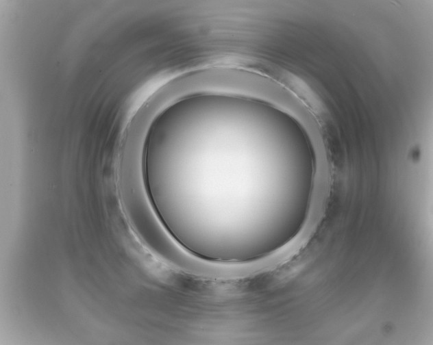 X0000092080948200709121441