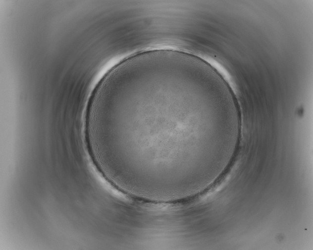 X0000092080949200709121441