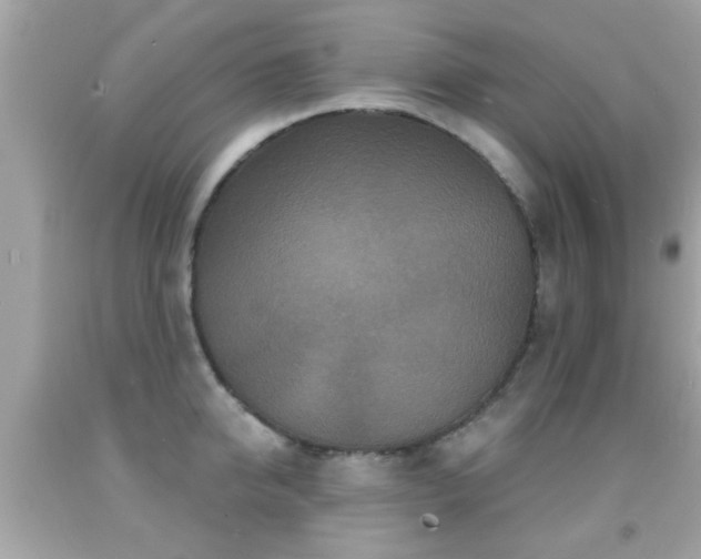 X0000092080950200709121441