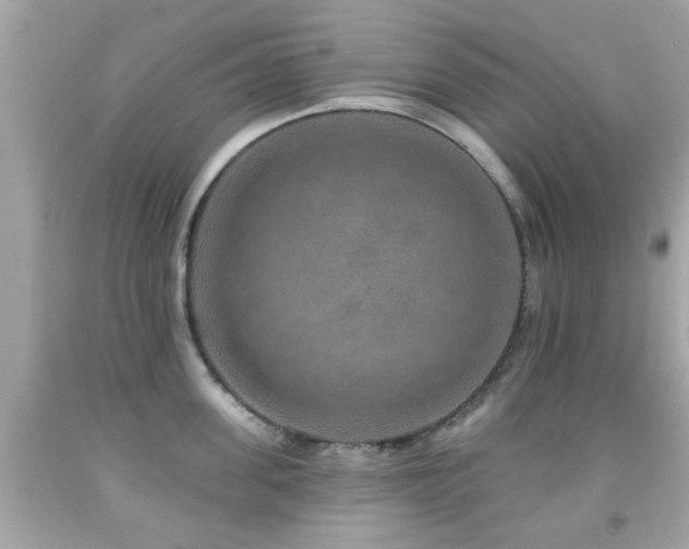 X0000092080955200709121442