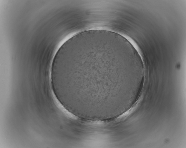 X0000092080957200709121442