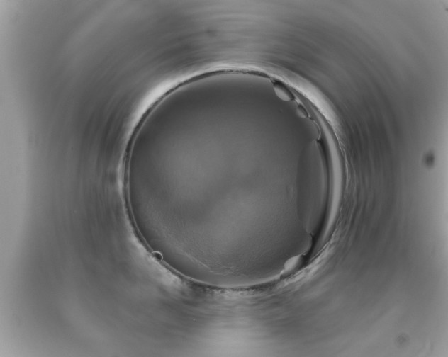 X0000092080958200709121442