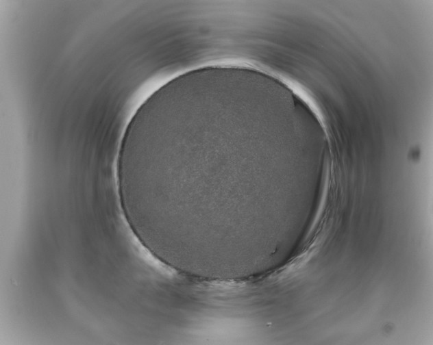 X0000092080959200709121442