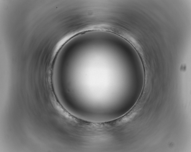 X0000092080960200709121442