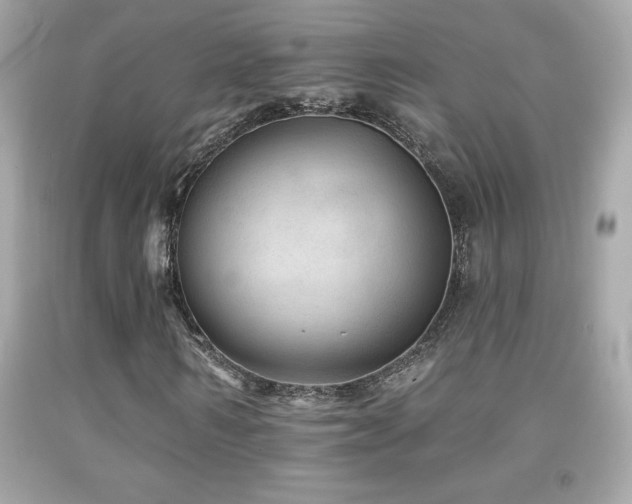X0000092080962200709121441