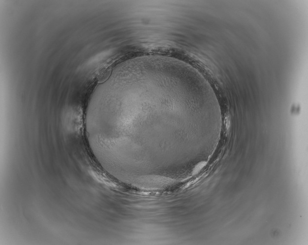 X0000092080963200709121441