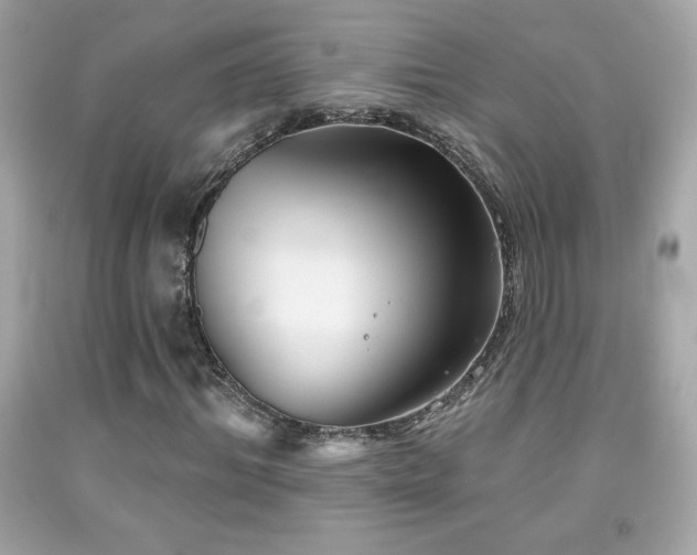 X0000092080964200709121441