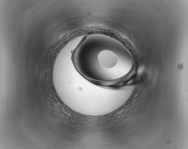X0000092080965200709121441