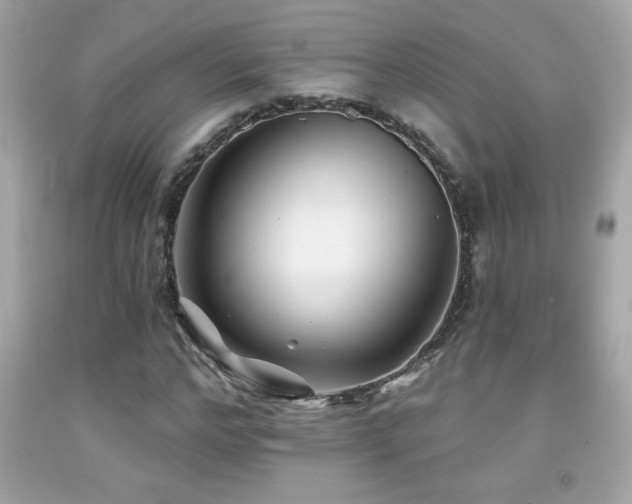 X0000092080968200709121441