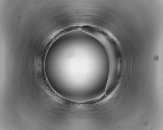 X0000092080969200709121441