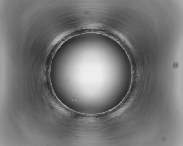 X0000092080970200709121441