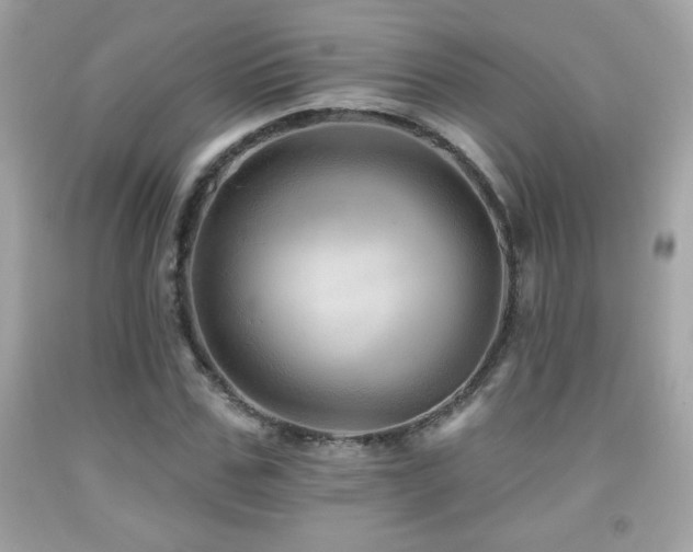 X0000092080971200709121441