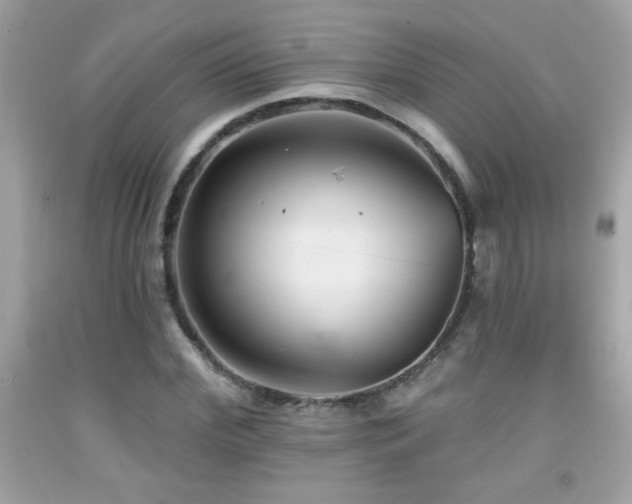 X0000092080972200709121441