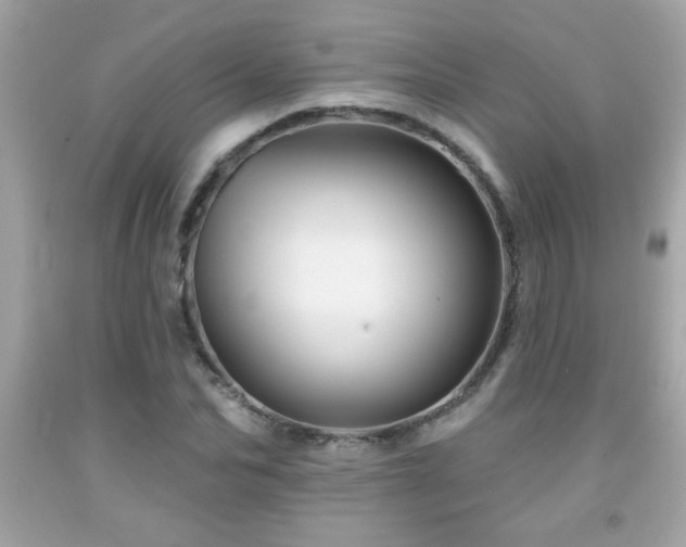 X0000092080974200709121441