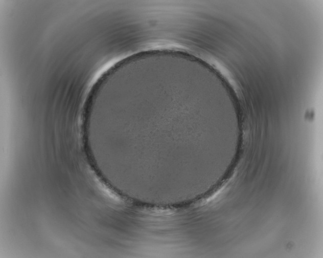X0000092080975200709121441