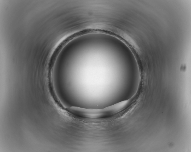 X0000092080976200709121441