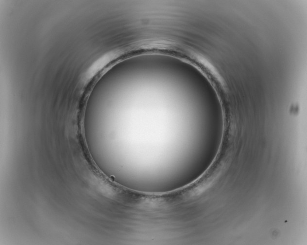 X0000092080978200709121441