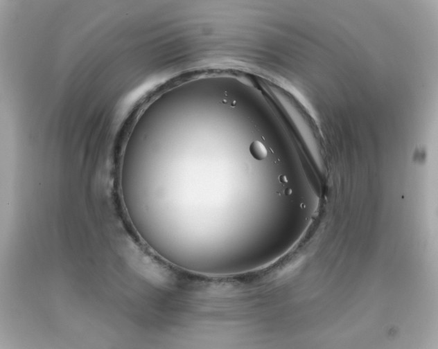 X0000092080979200709121441