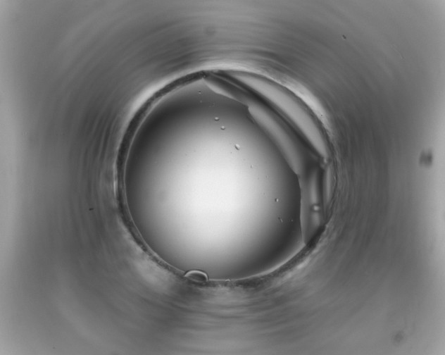 X0000092080980200709121441