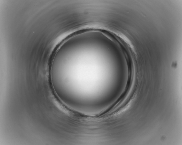 X0000092080981200709121441