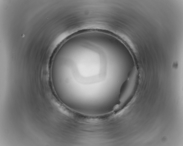 X0000092080982200709121441