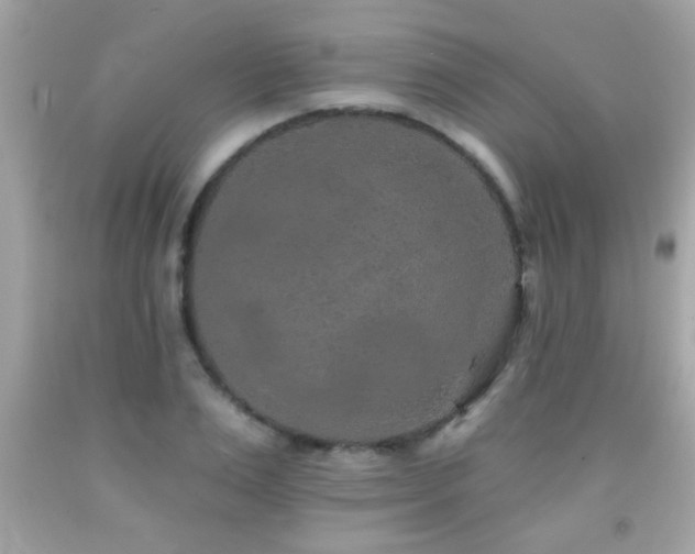 X0000092080983200709121441