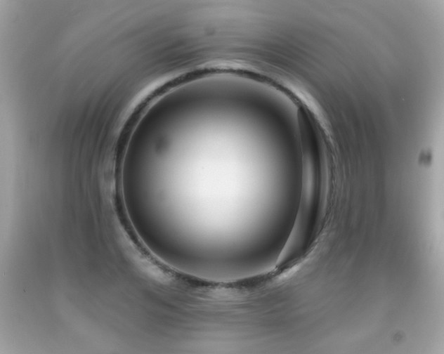 X0000092080984200709121441