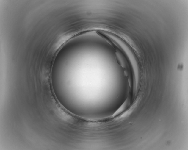 X0000092080985200709121441