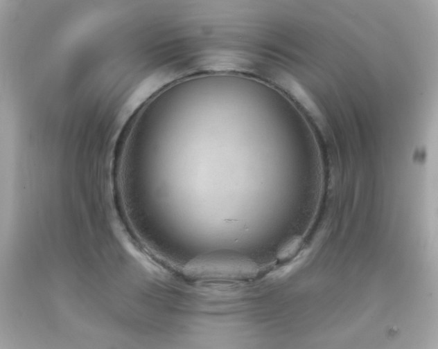 X0000092080986200709121441