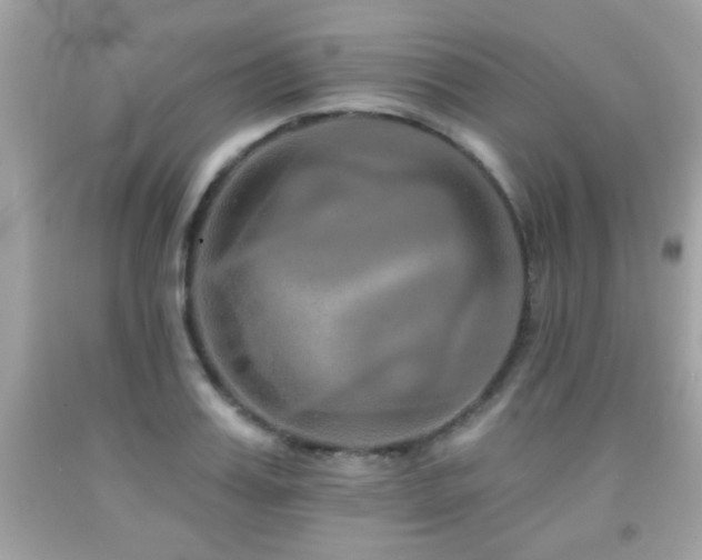 X0000092080987200709121441