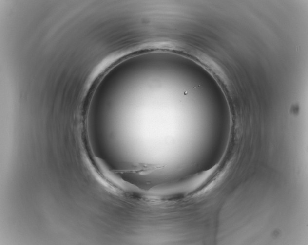 X0000092080989200709121441
