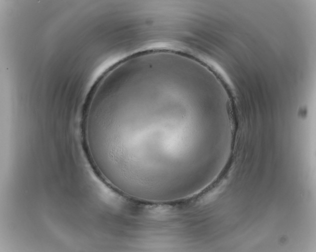 X0000092080991200709121441
