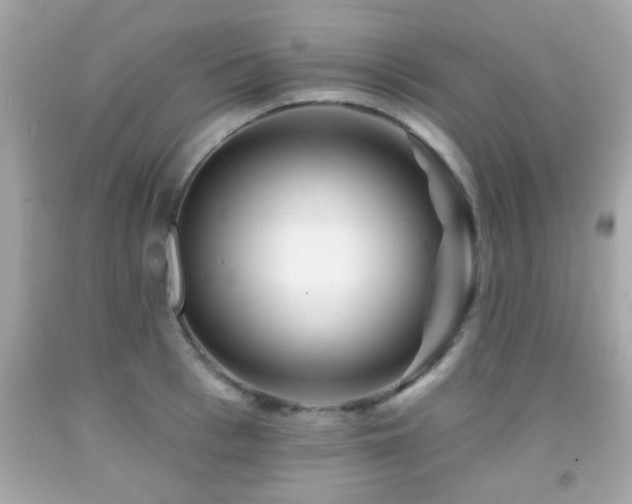 X0000092080993200709121441