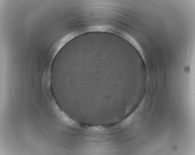 X0000092080994200709121441