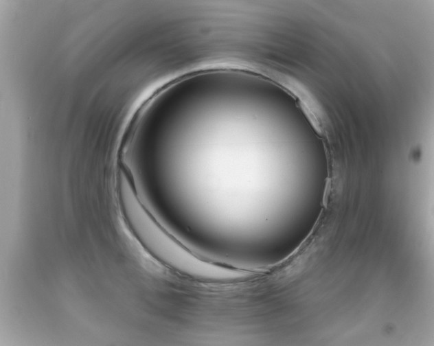 X0000092080996200709121441